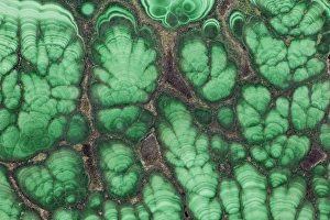 Circles Prints: Malachite