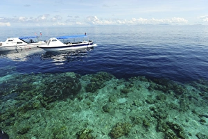 Emerald Prints: Malaysia, Borneo, Semporna Archipelago