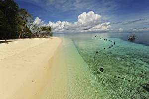 Malaysia, Borneo, Semporna Archipelago, Sipadan, idyllic beach with white sand