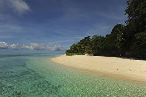Images Dated 8th June 2010: Malaysia, Borneo, Semporna Archipelago, Sipadan, idyllic beach with white sand