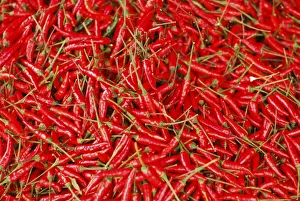 Malaysia, Borneo, Semporna, hot chili