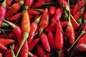 Anthony Asael Prints: Malaysia, Borneo, Semporna, hot chili