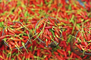 Images Dated 6th June 2010: Malaysia, Borneo, Semporna, red chili