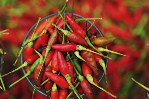Anthony Asael Prints: Malaysia, Borneo, Semporna, red chili