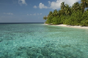 Images Dated 2nd January 2011: Maldives, North Male Atoll, Island of Kuda Bandos