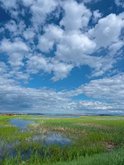 Eastern Oregon Prints: Malheur National Wildlife Refuge provides rich habitat for birds migrating between California and Alaska