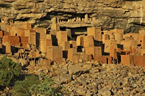 Images Dated 31st December 2005: MALI, Dogon Lands