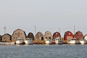 Images Dated 26th July 2009: Malpeque, Prince Edward Island. Fishing boats in Malpeque Harbour