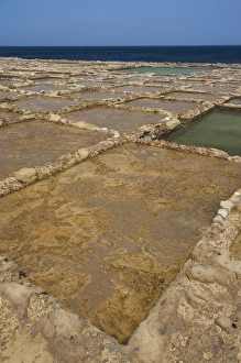 Images Dated 30th March 2010: Malta, Gozo Island, Marsalform, salt pans carved into rocky coastline