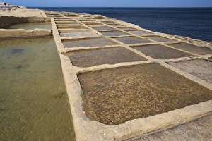 Gozo Prints: Malta, Gozo Island, Marsalform, salt pans carved into rocky coastline