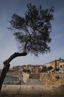 Valletta Prints: Malta, Valletta, city view from Lower Barrakka Gardens