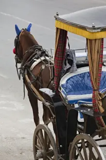 Carriage Prints: Malta, Valletta, Floriana, horse carriages at Pinto Wharf