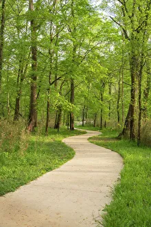 Prints of Mammoth Cave National Park, Kentucky Images Dated 2022 May: Mammoth Cave National Park, Kentucky