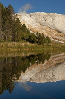 Travertine Prints: Mammoth Hot Springs, reflected in small pond, Yellowstone National Park, Montana