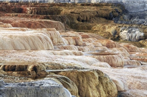 Terrace Prints: Mammoth Hot Springs Terracaes, Yellowstone National Park, Wyoming, USA