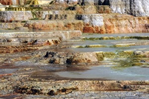 Mammoth Hot Springs Terraces in the Early Morning, Mammoth Hot Springs, Yellowstone National Park