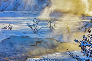 Yellowstone Prints: Mammoth Hot Springs in Yellowstone National Park