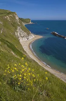 Dorset Prints: Man o War Bay, Jurassic Coast, Lulworth, Dorset, England