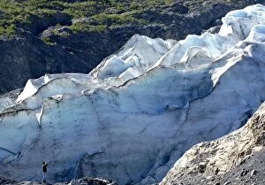 Man observing Exir Glacier, Kenai Fjords National Park, AK (MR)