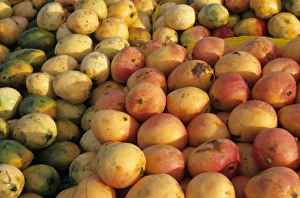 Trinidad Prints: Mangoes Trinidad