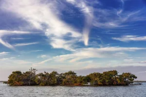 Ten Thousand Islands National W Prints: Mangrove Island at Ten Thousand Islands National Wildlife Refuge in Everglades National