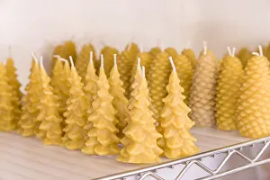 Images Dated 4th March 2019: Maple Valley, Washington State, USA. Handmade tree-shaped and pinecone-shaped beeswax