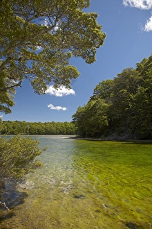 Images Dated 5th January 2012: Mararoa River, below South Mavora Lake, Southland, South Island, New Zealand