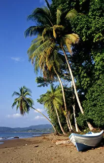 Marenco, Osa Peninsula, Costa Rica. Unspoilt palm fringed beach with freshly painted blue