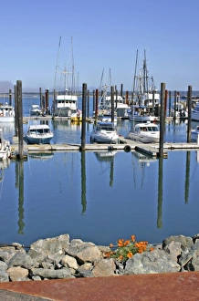 Images Dated 1st January 1980: Marina in Bandon Oregon