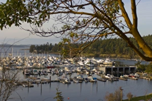 E O Reed Prints: Marina at Roche Harbor, San Juan Island, Washington State
