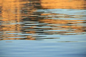 Backgrounds Prints: Marine Scenic near D Arcy Island, British Columbia, Canada