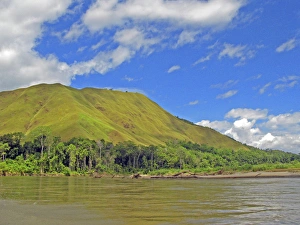 Images Dated 12th June 2007: Markham River Shoreline