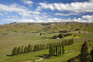 Images Dated 11th October 2012: Marlborough Golf Club, vineyard, and farmland near Blenheim, Marlborough, South Island
