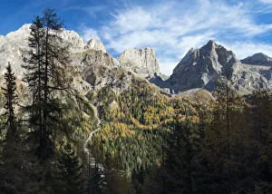 Larix Prints: Marmolada from Val Contrin in the Fassa Valley, left Gran Vernel, right Ombreta