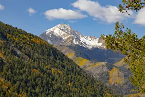 Snowcapped Prints: Maroon Bells-Snowmass Wilderness in Aspen