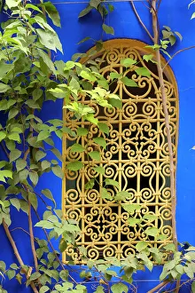 Metalwork Prints: Marrakech, Morocco. Plant life with cobalt blue backdrop