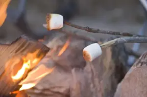 Life Style Prints: Marshmallow roasting on a stick in campfire near Whitefish Montana
