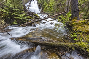 Whitefish Prints: Martin Falls in the Flathead National Forest near Whitefish Montana