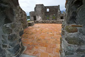 Images Dated 12th February 2007: MARTINIQUE. French Antilles. West Indies. Ruins at Chateau Dubuc on the Caravelle Peninsula