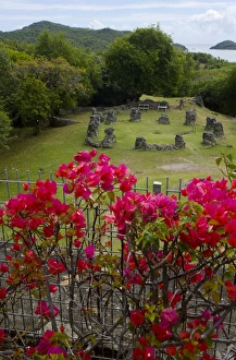 Images Dated 12th February 2007: MARTINIQUE. French Antilles. West Indies. Flowering bougainvillea & ruins at site