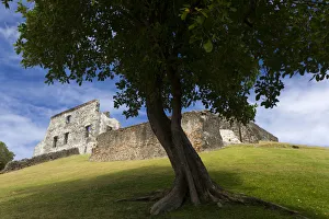 Images Dated 12th February 2007: MARTINIQUE. French Antilles. West Indies. Ruins at Chateau Dubuc on the Caravelle Peninsula