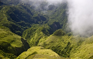 Images Dated 13th February 2007: MARTINIQUE. French Antilles. West Indies. Rugged gorges carved into flanks of Mt. Pelee