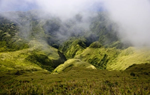 Images Dated 13th February 2007: MARTINIQUE. French Antilles. West Indies. Rugged gorges carved into flanks of Mt. Pelee