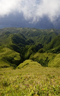 Images Dated 13th February 2007: MARTINIQUE. French Antilles. West Indies. Rugged gorges carved into flanks of Mt. Pelee