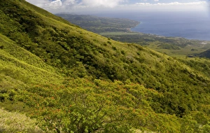 Images Dated 13th February 2007: MARTINIQUE. French Antilles. West Indies. View of Caribbean coast & town of St. Pierre