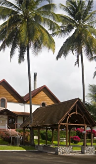 MARTINIQUE. French Antilles. West Indies. St. Pierre. Royal palms & visitor center / gift