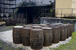 MARTINIQUE. French Antilles. West Indies. J.M. Distillery in Macouba. Oak barrels