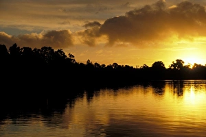 Images Dated 11th February 2010: Martins Bay, Tasman Sea, South Island