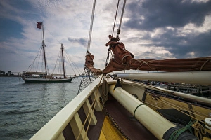 Tall Ship Prints: Massachusetts, Cape Ann, Gloucester, Gloucester Schooner Festival, dusk