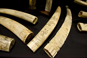 Massachusetts, New Bedford. New Bedford Whaling Museum